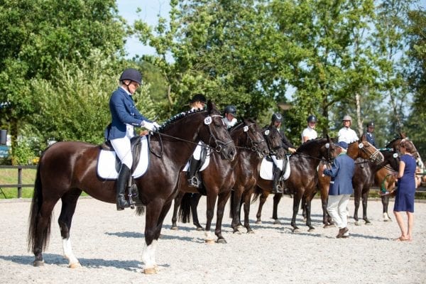 Regionale keuring Noord