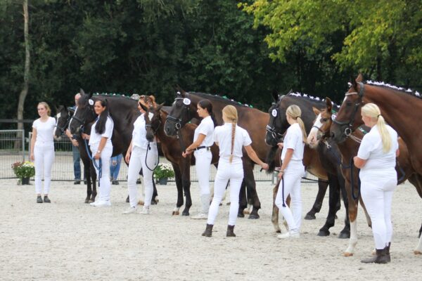 Programma regionale keuring 18 juli