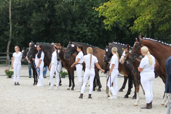 Regionale keuring Zuid