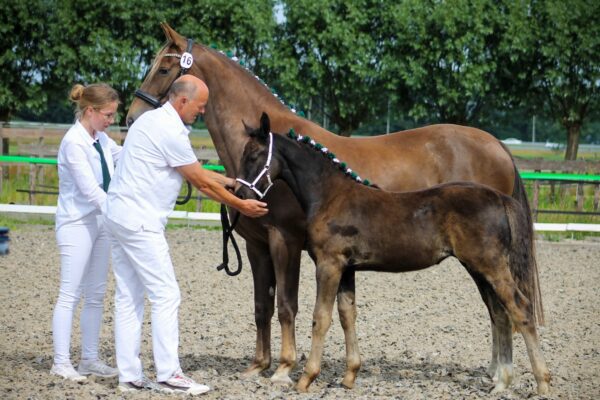Regionale keuring West