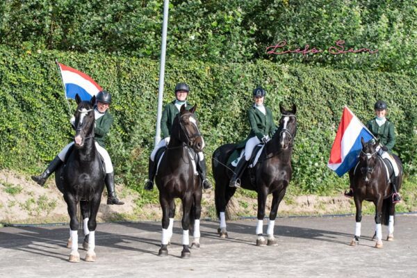 Het Groninger Paard op Horse Event