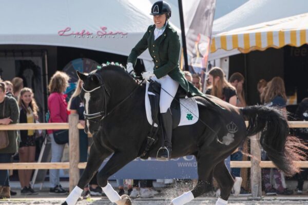 Het Groninger Paard op Horse Event