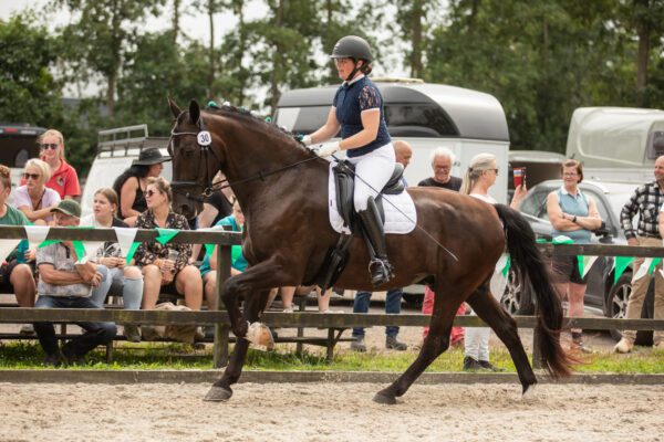 Online dressuurcompetitie 3e kwartaal (t/m 30 september)