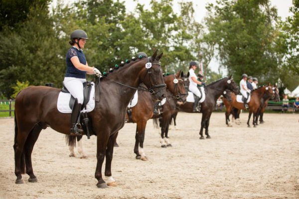 Clinic winnaars dressuurcompetitie