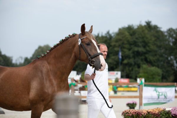 Regionale keuring Tolbert