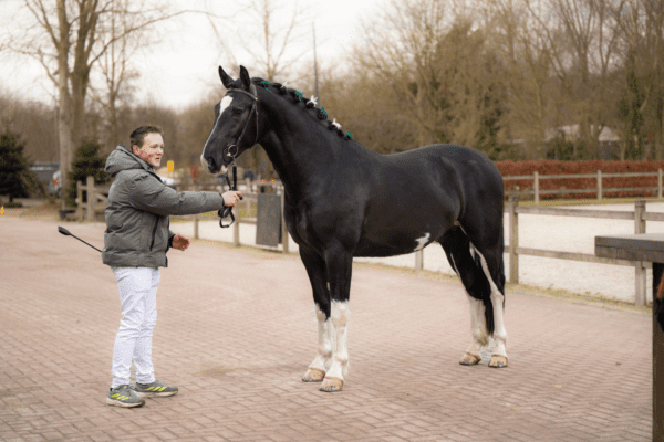 Goedkeuring Lammert van de Pasop