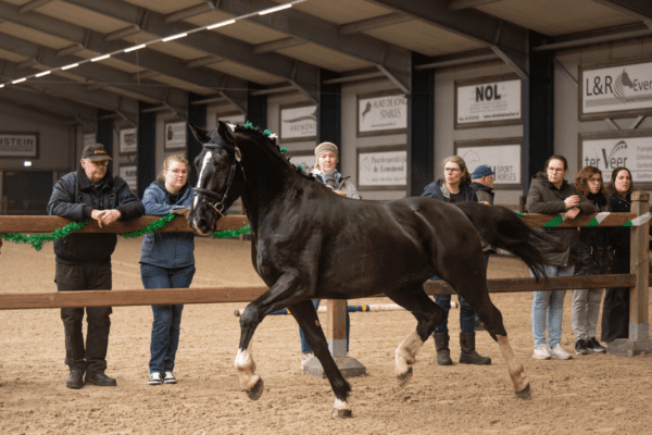 Goedkeuring Lieuwe
