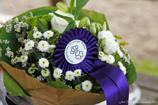 Bestuur benoemt Henk Prins tot inspecteur