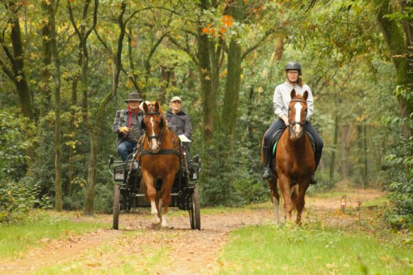 Locatie en data Verenigingsweekend 2026 gewijzigd!