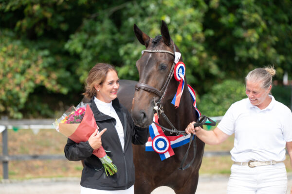 Groninger Paarden schitteren tijdens Nationale Keuring 2026